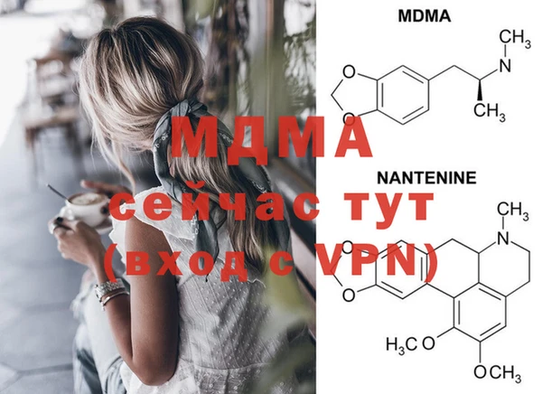 ГАЛЛЮЦИНОГЕННЫЕ ГРИБЫ Новозыбков