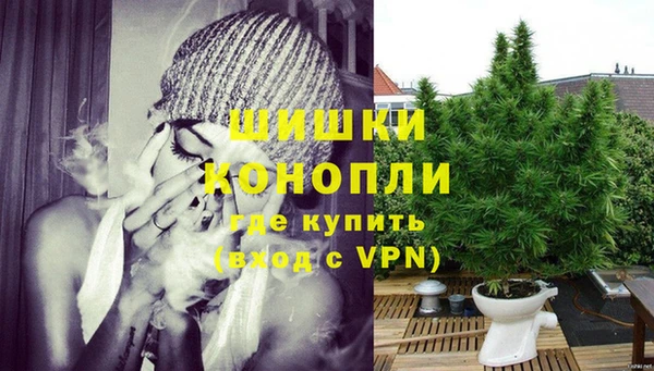 ГАЛЛЮЦИНОГЕННЫЕ ГРИБЫ Новозыбков