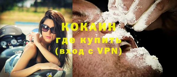 ГАЛЛЮЦИНОГЕННЫЕ ГРИБЫ Новозыбков